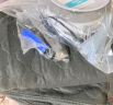 日遇双人安全速热自动断电水循环水暖毯水暖电热毯电褥子除螨1.8*2.0m 实拍图