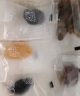 松鼠小分队霸王果脯混合芒果干水果干蜜饯西梅杏干儿童零食大礼包400g/礼盒 实拍图