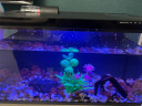 米家智能鱼缸小米智能鱼缸小型客厅水族箱自动喂食智能联动生态过滤 【造景套装】鱼缸+画法几何枯木风造景 实拍图