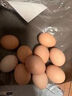 山林散养鲜鸡蛋40g枚早餐京东包邮买菜生鲜土鸡蛋溏心蛋水煮蛋 2枚 40g 实拍图