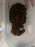 网易严选猫粮冻干鲜鸡肉无谷全价冻干双拼猫粮3.0升级款1.8kg 实拍图