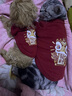 派乐特猫咪衣服拜年服冬季防掉毛新年宠物狗狗小型犬加绒保暖过年圣诞S 实拍图