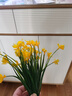 仿真蝴蝶兰花满天星假花塑料花绢花插花舞蹈拍摄客厅装饰花艺 黄色 实拍图