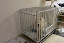 狗笼子室内大型犬中型加粗方管厕所边牧家用六面金毛拉布拉多笼子 白色六面全方管框架（加固加粗升级款） 长110*宽72*高95适合拉布拉多 金毛等大型犬 实拍图