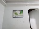 墨派餐厅装饰画现代简约饭厅横幅挂画轻奢饭厅背景墙厨房壁画免打孔 多叶多财 80*60cm【晶瓷】 实拍图