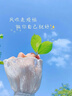 KOOGIS黄芪霜经典老国货护肤正品旗舰店去提亮改善黄暗沉肤色保湿面霜 实拍图