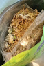 绿族12L干苔藓水苔蝴蝶兰花菩提专用营养土植物乌龟垫材铁皮石斛种植 实拍图