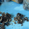 云南今年新货野生老树核桃纸皮薄皮孕妇黑桃薄壳干黑桃零食无漂 【深山臻品】103精品特级大果3斤 实拍图