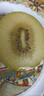 佳沛（zespri）新西兰 阳光金奇异果12粒礼盒特大果单果约122-146g 猕猴桃 水果 实拍图