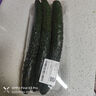 紫溪山嫩黄瓜约550g 实拍图