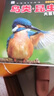 鸟类·昆虫大百科 彩图注音版科普读物 小眼睛看世界儿童科学启蒙认知百科全书   儿童年货节送礼 实拍图