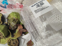 京鲜生 秘鲁牛油果 中果6粒装 单果110g+（非即食） 生鲜水果 实拍图