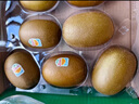 佳沛（zespri）新西兰  阳光金奇异果10粒礼盒巨大果单果约144-175g 水果 猕猴桃 实拍图