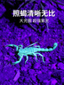 魔铁（MOTIE）手电筒蝎子灯专用照抓捕蝎子紫外线强光远射紫光灯充电户外知了猴 实拍图