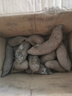 紫薯新鲜蔬菜根茎类生鲜 当季现挖湖北小紫薯 精品粗粮健康轻食 精品装带箱5斤装 单果1两+ 源头直采包邮 实拍图