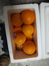 新奇士（Sunkist）澳大利亚进口蓝标早脐橙7斤礼盒 单果180g起 新鲜水果 实拍图