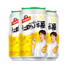 汉斯啤酒（HANS）汉斯小木屋菠萝啤果味碳酸饮料整箱330ml*24听无酒精 实拍图