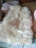 纯羊皮褥子整张绵羊皮毛一体羊毛床垫单双人宿舍加厚防潮保暖床垫 羊皮白色 50CM*100CM 实拍图