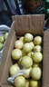 爱鲜摘农场 广西钦蜜9号黄金百香果礼品白香新鲜现摘整箱水果礼盒送礼中秋甜 7A级｜单果60g-70g【狠甜】 5斤礼箱装【出口级品质】净4.5斤 实拍图
