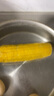 金沃瑞丰 24年新玉米 有机黄糯玉米棒 220g*8袋 新鲜甜粘黏早餐 实拍图