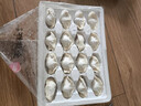 思念金牌虾水饺虾仁三鲜480g32只 速冻饺子早餐食品速食食品蒸饺煎饺 实拍图