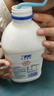 兰格格草原酸奶 专利活菌1kg*3 送乳清过滤器可制干噎希腊酸奶 源头直发 实拍图