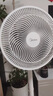 美的（Midea） 电风扇 家用风扇7叶落地扇立式轻音节能大风量电扇台扇迷你扇台立两用转页扇 【店长推荐丨7叶劲风 百万单品】 SAF30AC 家用落地扇 实拍图