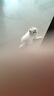 麦富迪狗粮 无谷牛肉双拼粮4.5kg 成犬小型犬泰迪比熊博美 实拍图