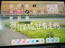 HUAWEI MatePad Air 12英寸2024款 国家补贴15% 华为平板电脑2.8K高刷全面屏 12+256GB 草木绿 实拍图
