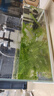 森森（SUNSUN）鱼缸水族箱超白玻璃水草缸造景桌面缸 500裸缸(50*25.6*31cm) 实拍图