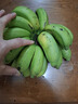 正宗广西小米蕉自然熟鹏茂新鲜香蕉青蕉发货产地直发新鲜水果酸甜 净重3斤 实拍图
