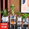 花盆绿植盆栽水培瓶透明塑料花瓶容器绿萝花盆鱼花共养缸水养摆件 水培盆-圆柱大号 【送定植篮+吸水棉绳】 实拍图