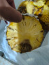 广东徐闻菠萝香水菠萝产地直发 净重4.5-5斤 约3粒  单果650g+ 实拍图