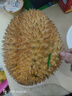 飞利浦（PHILIPS）电话机座机 固定电话 办公家用 家庭有线电话 来电显示 双接口 免电池 CORD118黑色 实拍图