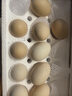 【双黄土鸡蛋】农家散养现捡鲜鸡蛋大个黄心双倍营养早餐生鲜京东 10枚-双黄蛋【73-83g/枚】 实拍图