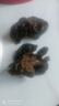 双塔东北黑木耳500g肉厚无根干木耳东北特产小碗耳火锅食材南北干货 实拍图