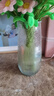 特大号轻奢创意简约玻璃花瓶透明水养鲜花北欧ins风客厅插花摆件 【20高】烟灰太阳花 实拍图