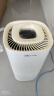 小熊（Bear）【UV除菌710】无雾加湿器 家用卧室婴儿空气净化空调加湿器 落地大容量蒸发式母亲节礼物JSQ-H60L2 实拍图