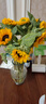 【向日葵】生日礼物鲜切花云南基地直发新鲜太阳花鲜花毕业花束 向日葵10枝 中大花 中大花向日葵 实拍图
