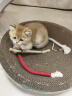 憨憨乐园木天蓼猫咪磨牙棒猫玩具自嗨解闷逗猫棒耐咬幼猫用品玩具养猫神器 实拍图