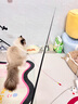 HELLOJOY逗猫棒长杆可伸缩猫咪的玩具羽毛超长自嗨幼猫钓鱼竿钢丝耐咬用品 实拍图