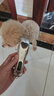 易简（yijan）理发器宠物剃毛器狗狗电推剪电推子宠物猫咪美容造型儿童理发器 实拍图