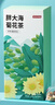 京东京造胖大海菊花茶150g(5g*30)咽喉伴侣可定制泡水喝养生茶茶叶团购 实拍图