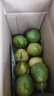 黄金百香果钦蜜9号新鲜当季现摘精选好果水果百香果鲜果酸甜可口 钦蜜9号黄金百香果 ＜40g小果 1斤 实拍图
