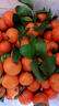 柏馋广西沃柑新鲜纯甜橘子当季时令水果桔子柑橘应季整箱正宗当季 精选9斤净重8.5斤 中果55-65mm 实拍图