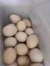 可生食新鲜鸡蛋30枚+鲁花自然鲜零添加系列生抽酱油500ml调味品 实拍图