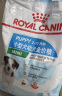 皇家狗粮 幼犬狗粮 宠物 小型犬 MIJ31 全价犬粮 2-10月 2KG 实拍图