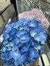 绿箭无糖口香糖茉莉绿茶味约40粒56g*6瓶 口气清新糖休闲零食糖果 实拍图