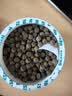 BESSN贝森小颗粒底栖鱼鱼肉饲料虎头鲨猫鱼下沉型鱼粮500ml  5mm 实拍图