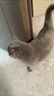 领先主食猫条桶14g*90条(10种口味)成幼猫罐头猫粮湿粮零食营养补水 实拍图